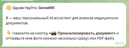 Бот анализирует документ